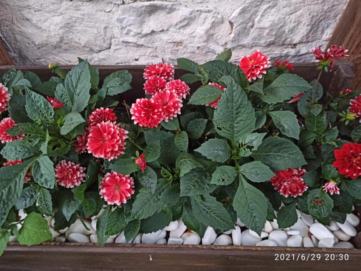 Konak Bindalli Bed & Breakfast Karabuk  Exterior foto